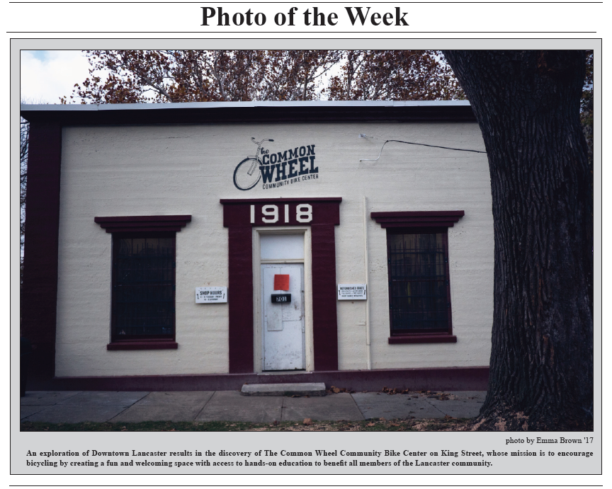 TCR 11-17-14 Photo of the Week